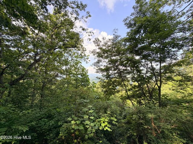 Lot 7 Mystic Ridge Way W, Topton, NC 28781