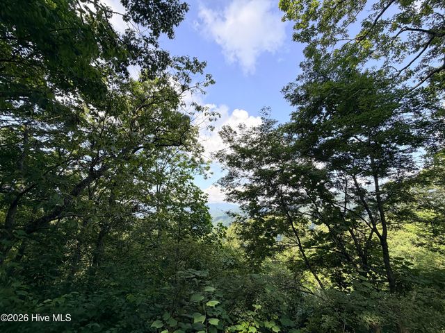 Lot 7 Mystic Ridge Way W, Topton, NC 28781