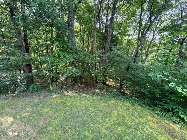 Lot 7 Mystic Ridge Way W, Topton, NC 28781
