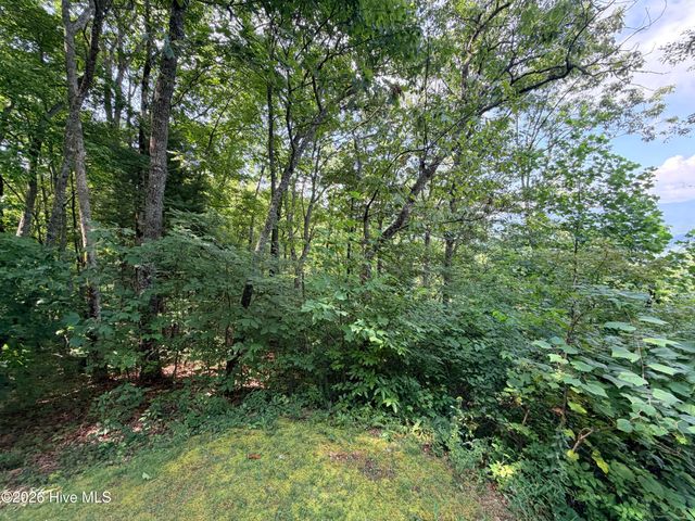 Lot 7 Mystic Ridge Way W, Topton, NC 28781