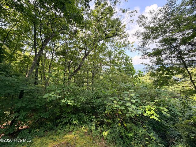 Lot 7 Mystic Ridge Way W, Topton, NC 28781