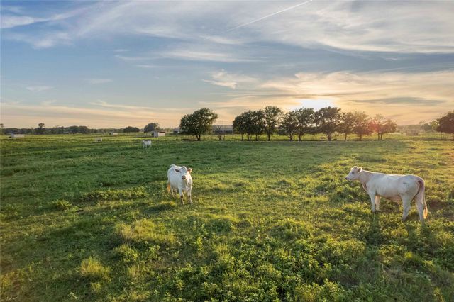 TBD Hog Town Road Road, Collinsville, TX 76233