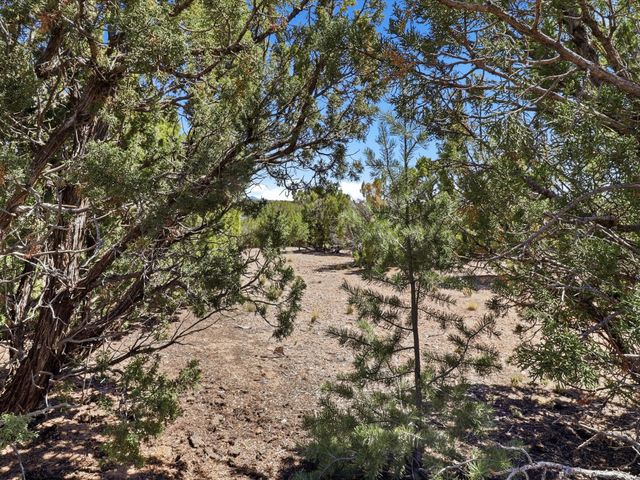 0 Wildflower Way Lot B B, Santa Fe, NM 87506