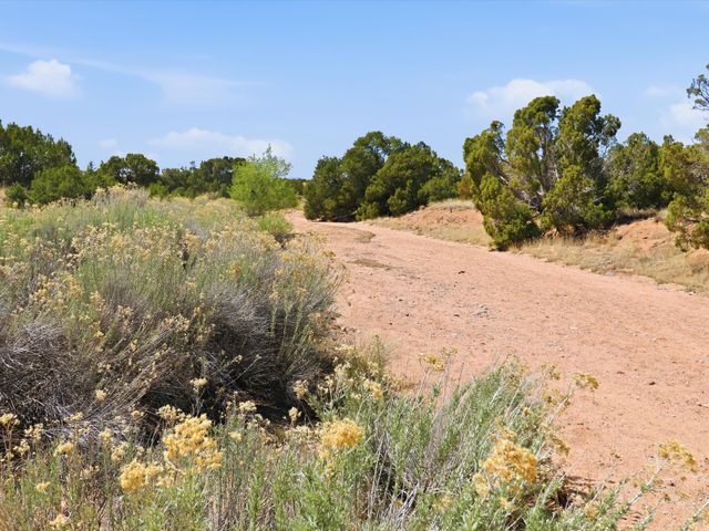 0 Wildflower Way Lot B B, Santa Fe, NM 87506