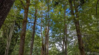 14834 75th Avenue NE, Kenmore, WA 98028