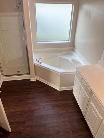 29046 Village Creek Loop, Spring, TX 77386