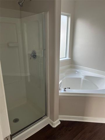 29046 Village Creek Loop, Spring, TX 77386