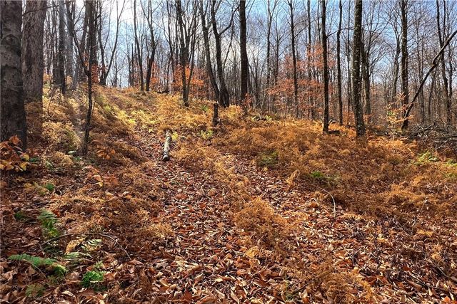 464 Curtis Lane, Hamden, NY 13782