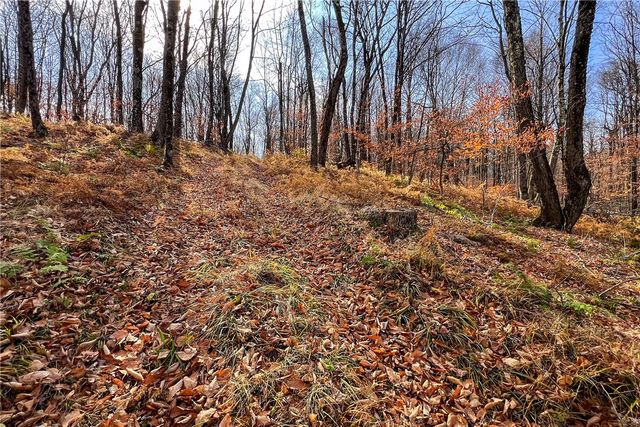 464 Curtis Lane, Hamden, NY 13782