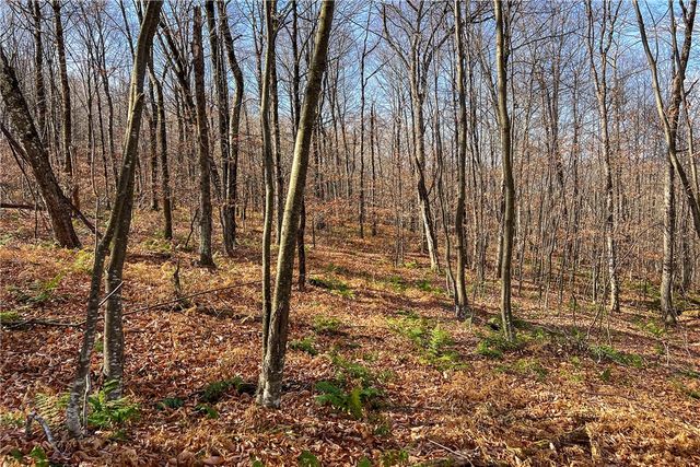 464 Curtis Lane, Hamden, NY 13782