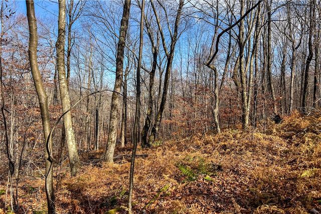 464 Curtis Lane, Hamden, NY 13782