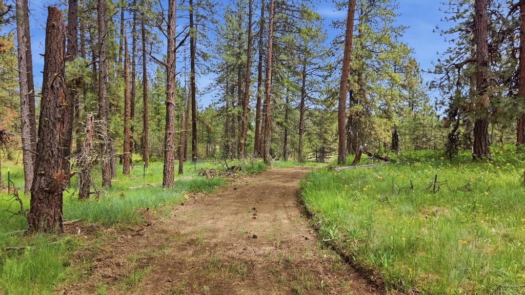 55XX Rocky Top Way, Deer Park, WA 99006 photo 11