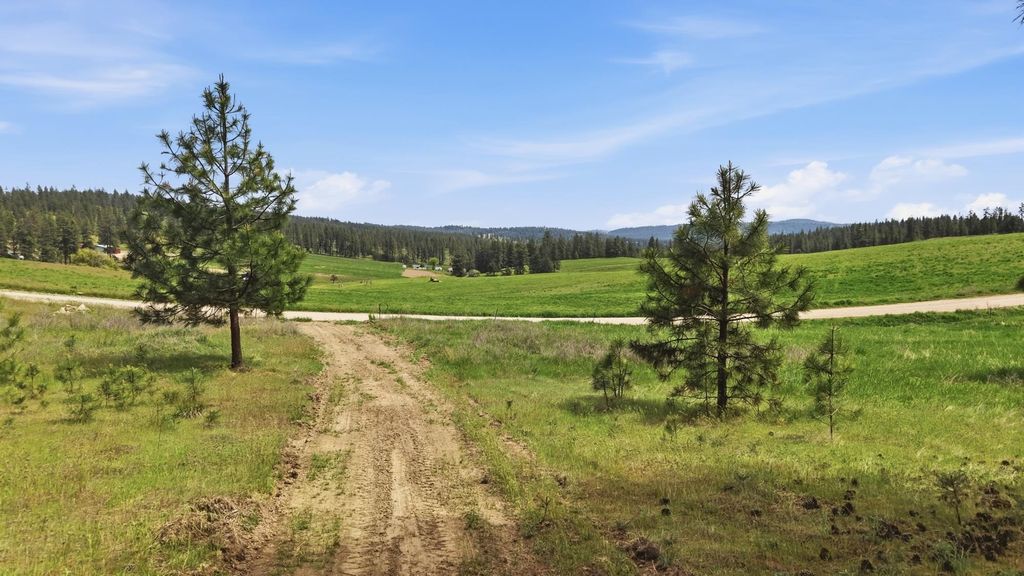 55XX Rocky Top Way, Deer Park, WA 99006 photo 13