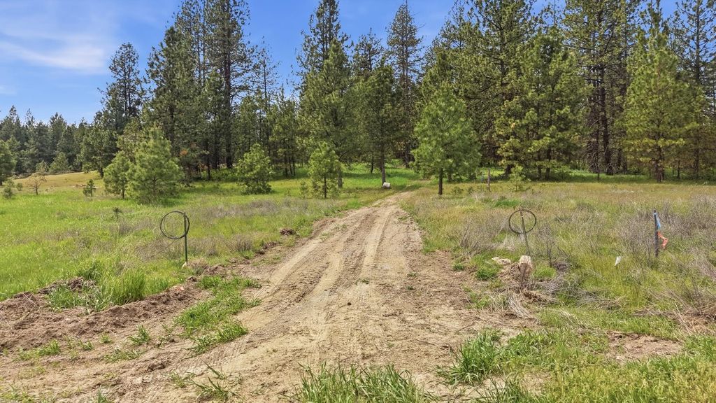 55XX Rocky Top Way, Deer Park, WA 99006 photo 4