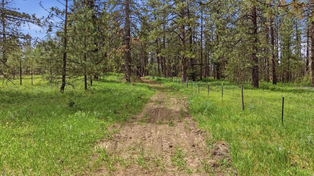 55XX Rocky Top Way, Deer Park, WA 99006 photo 5