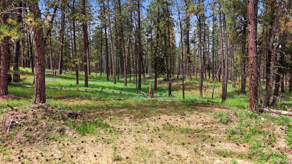 55XX Rocky Top Way, Deer Park, WA 99006 photo 8