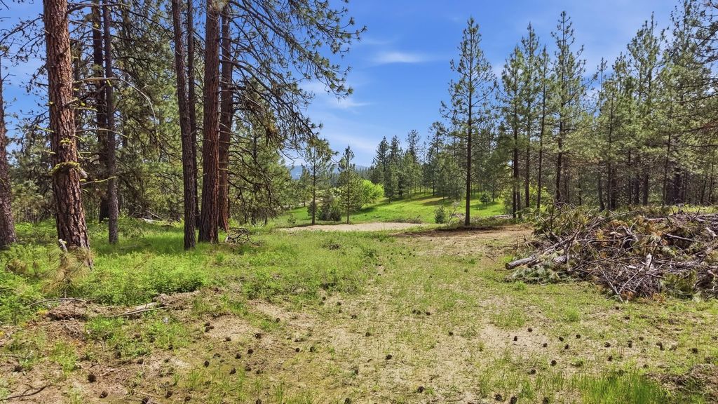 55XX Rocky Top Way, Deer Park, WA 99006 photo 9