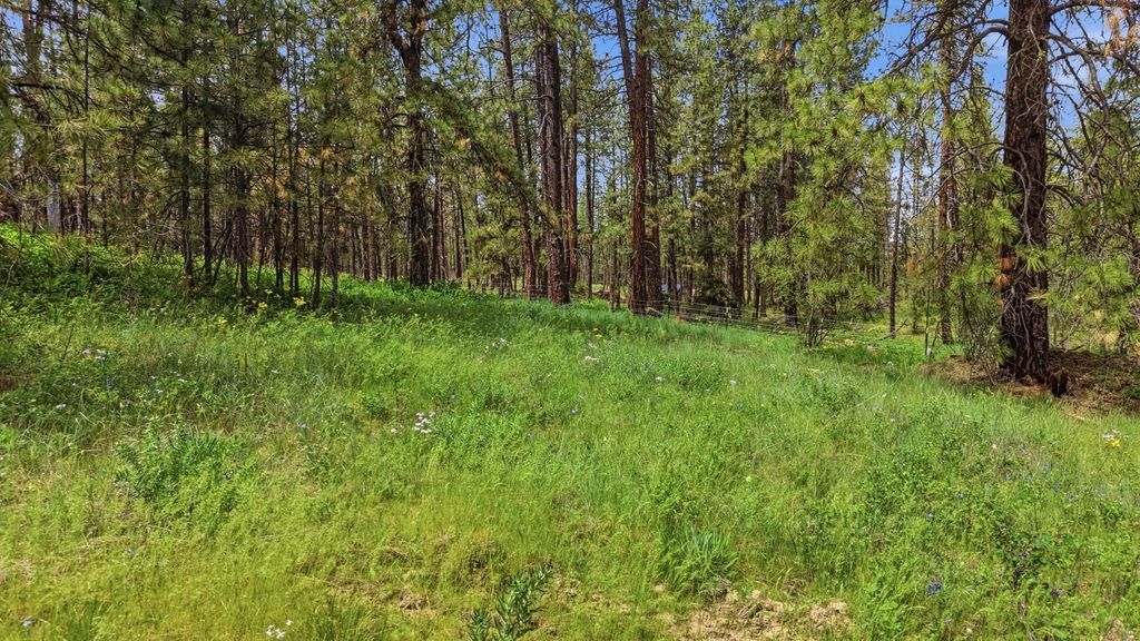 55XX Rocky Top Way, Deer Park, WA 99006 photo 10