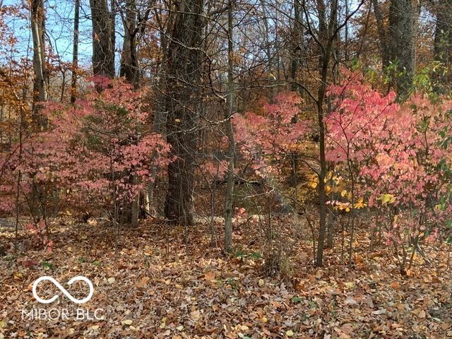 3717 E Edgewood Road, Martinsville, IN 46151