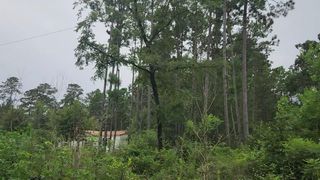 Lot 11 Scarlet Oak Drive, Plantersville, TX 77363