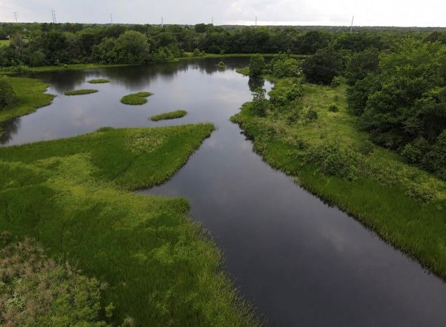 19046 County Road 124, Bedias, TX 77831