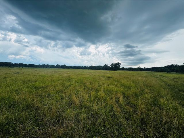 19046 County Road 124, Bedias, TX 77831