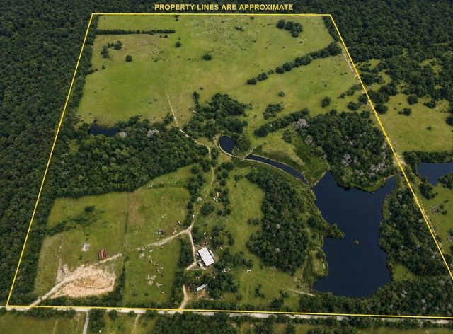 19046 County Road 124, Bedias, TX 77831