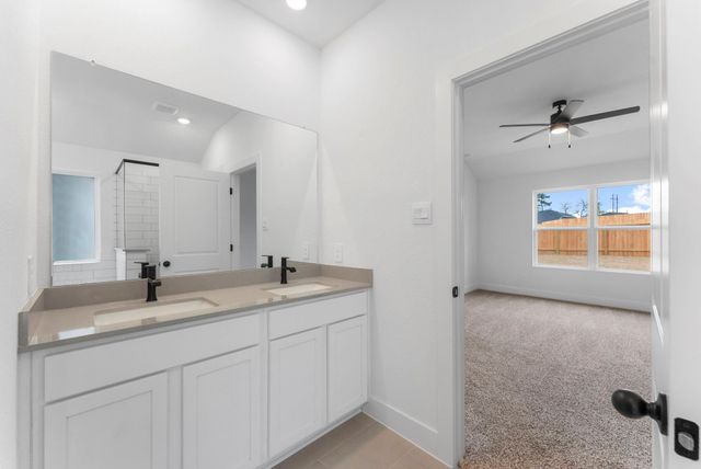 15806 Narrow Leaf Lane, Montgomery, TX 77316