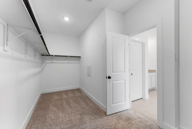 15806 Narrow Leaf Lane, Montgomery, TX 77316