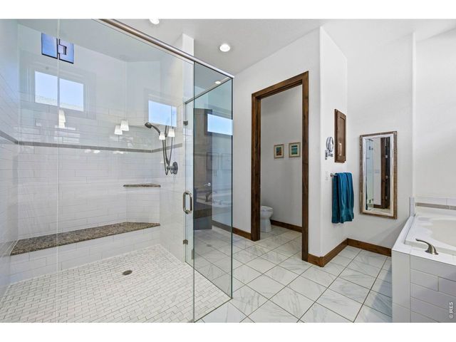 6901 Water View Ct, Timnath, CO 80547