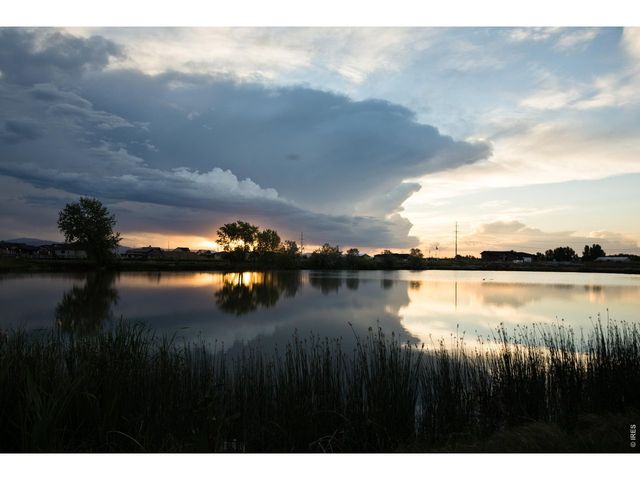 6901 Water View Ct, Timnath, CO 80547