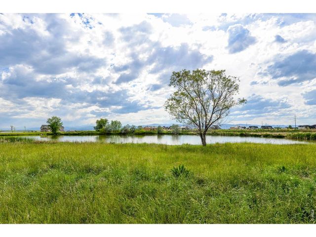 6901 Water View Ct, Timnath, CO 80547