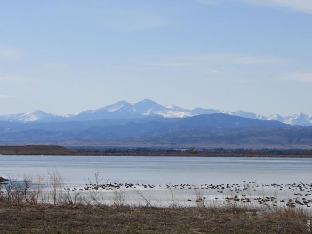 6901 Water View Ct, Timnath, CO 80547