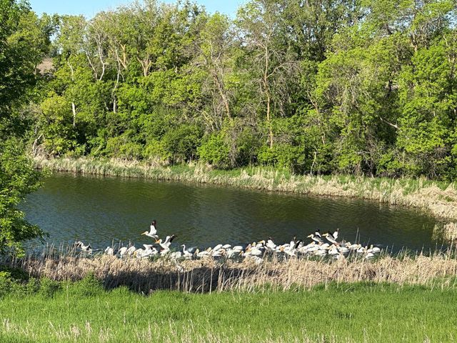 27588 226th Street, Underwood, MN 56586