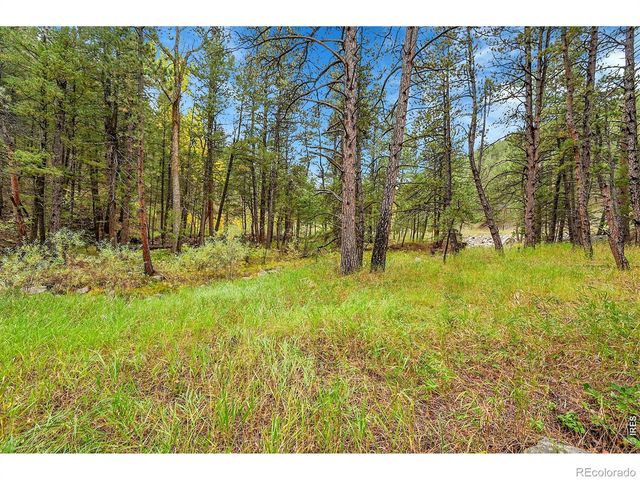 5567 Lefthand Canyon Drive, Jamestown, CO 80455
