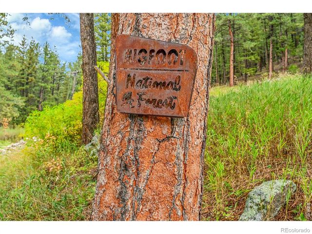 5567 Lefthand Canyon Drive, Jamestown, CO 80455