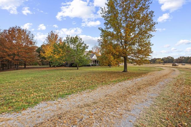 6652 - E Fm 1396, Telephone, TX 75488