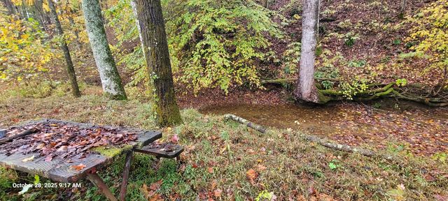 1121 Breeding Road, Edmonton, KY 42129