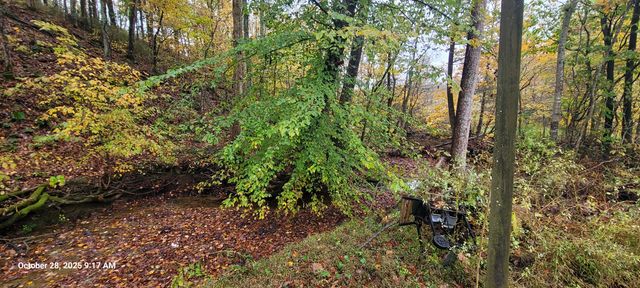 1121 Breeding Road, Edmonton, KY 42129