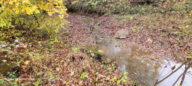 1121 Breeding Road, Edmonton, KY 42129