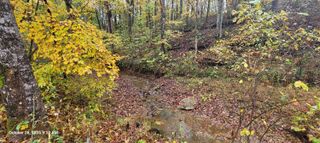 1121 Breeding Road, Edmonton, KY 42129