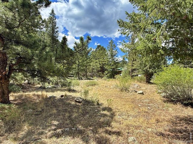 1944 Alvarado Road, Georgetown, CO 80444