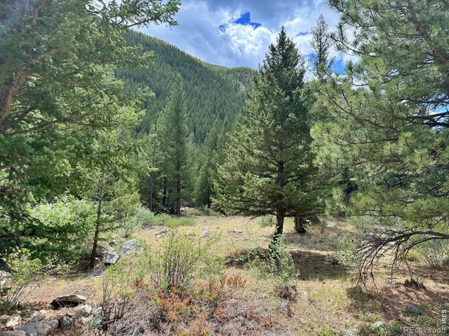 1944 Alvarado Road, Georgetown, CO 80444