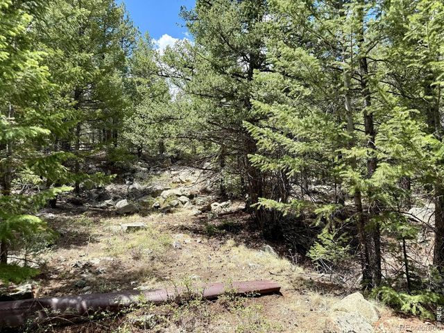 1944 Alvarado Road, Georgetown, CO 80444