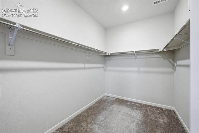8726 Middle Fork Street, Littleton, CO 80125
