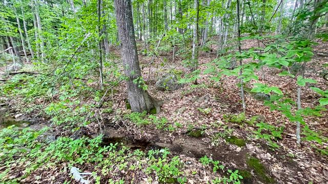 110 Conway Road, Madison, NH 03849