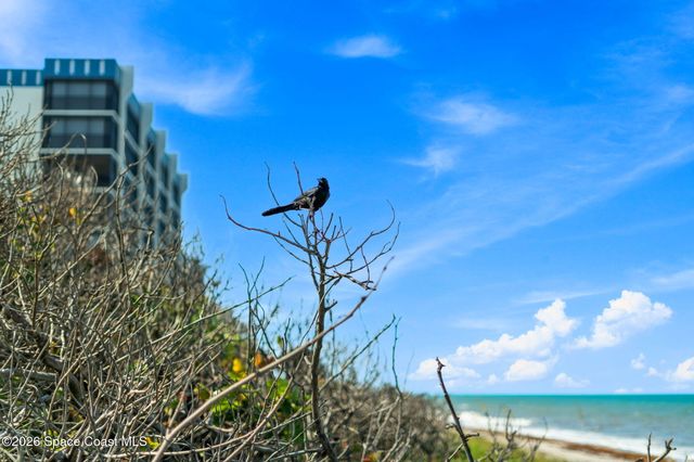 130 Roosevelt Avenue 107, Satellite Beach, FL 32937