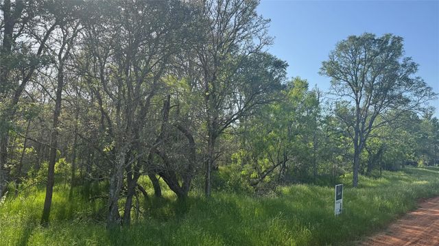 203 Mokulua LN, Bastrop, TX 78602