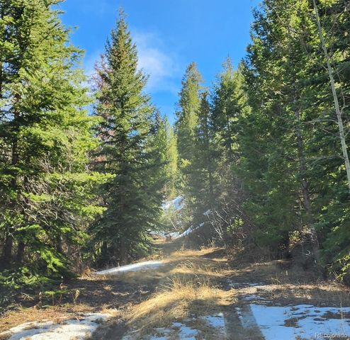 10151 Coronado Circle, Morrison, CO 80465