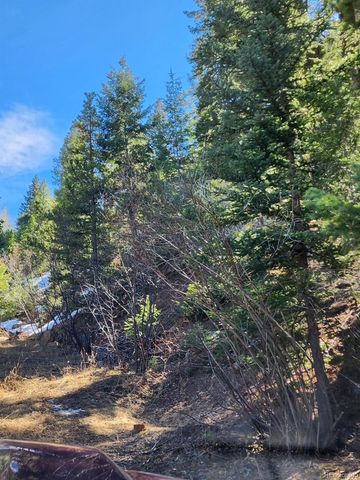 10151 Coronado Circle, Morrison, CO 80465